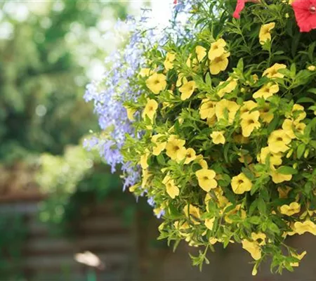 Events und Sonderöffnungstage