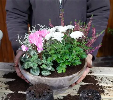 Blumenkübel - Herbstliche Bepflanzung