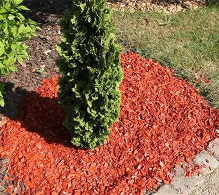 Mulch - Einsatz im Garten