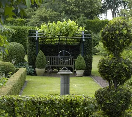 Auf die Form gekommen – Formgehölze im Garten