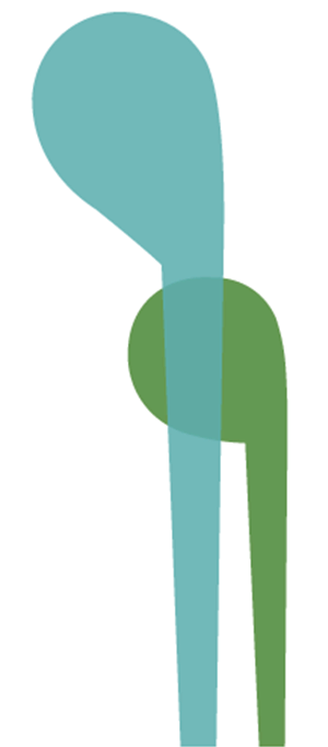 Blumengroßmarkt Ulm