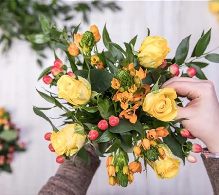 Neue Öffnungszeiten