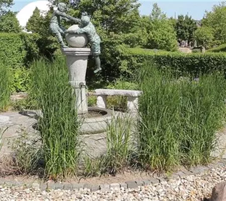 Gartengestaltung - Wasser- und Skulpturengarten
