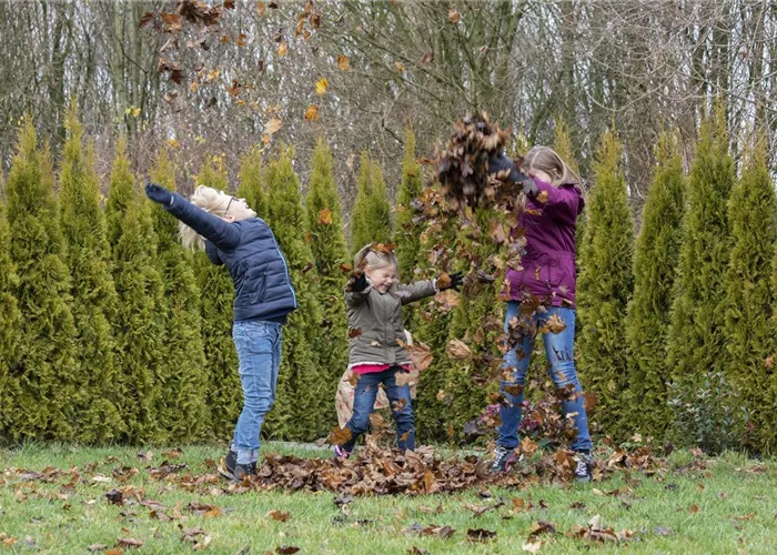 Spiel, Spaß und Sport: Der Garten als grünes Fitness-Studio
